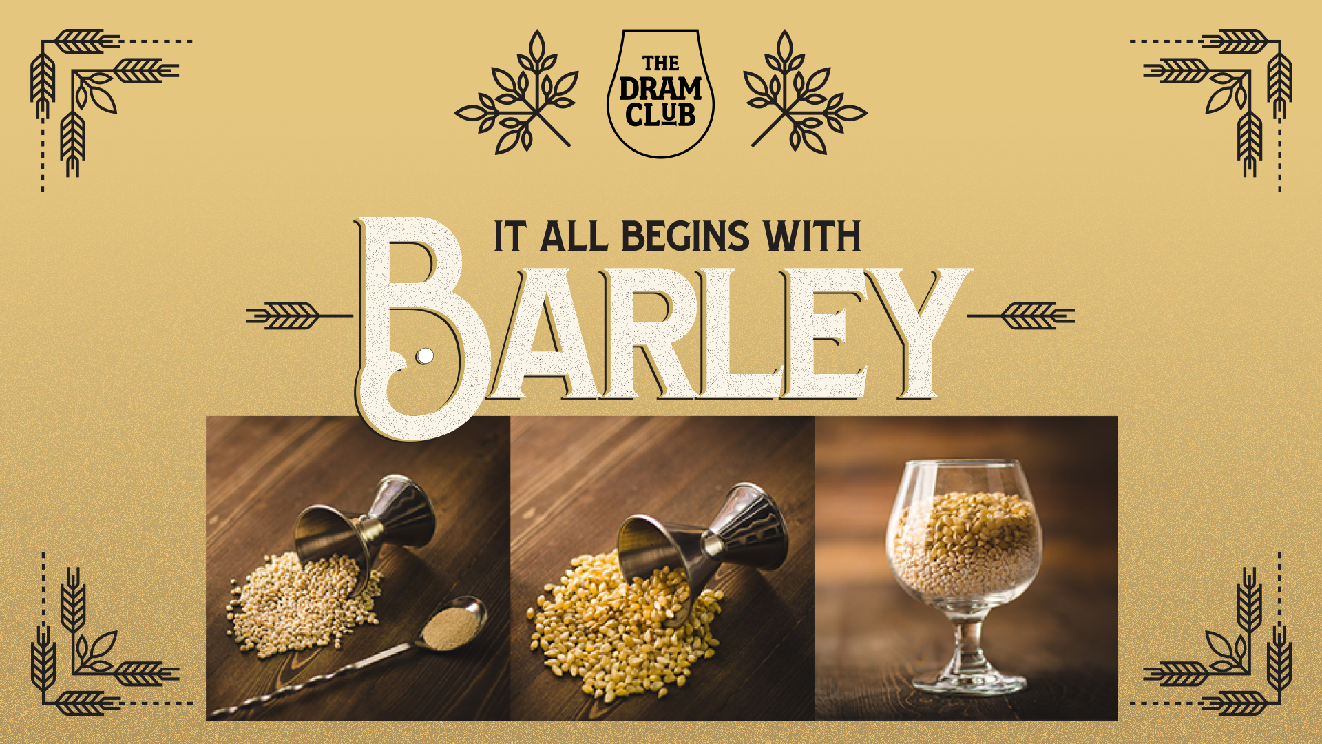 Its all begins with Barley